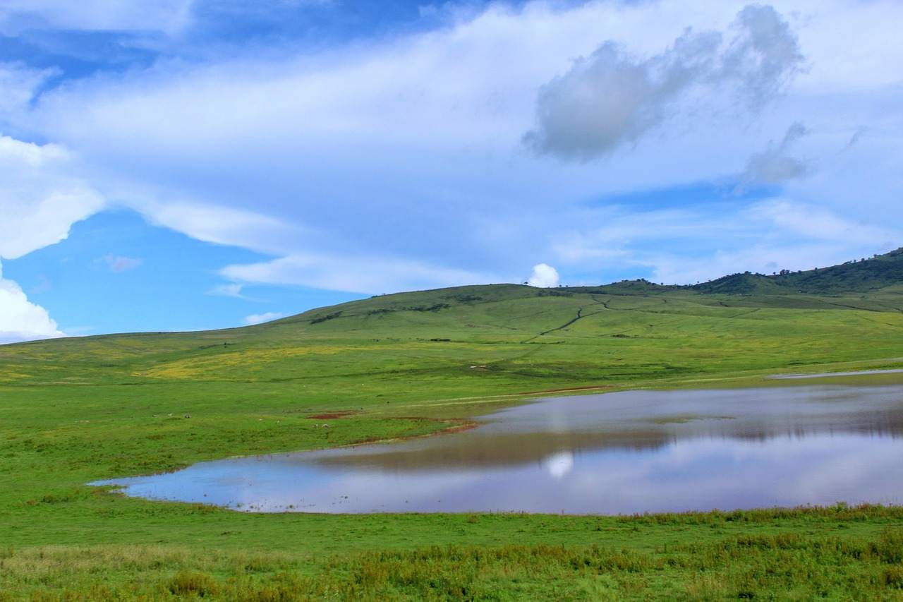The Ngorongoro Crater